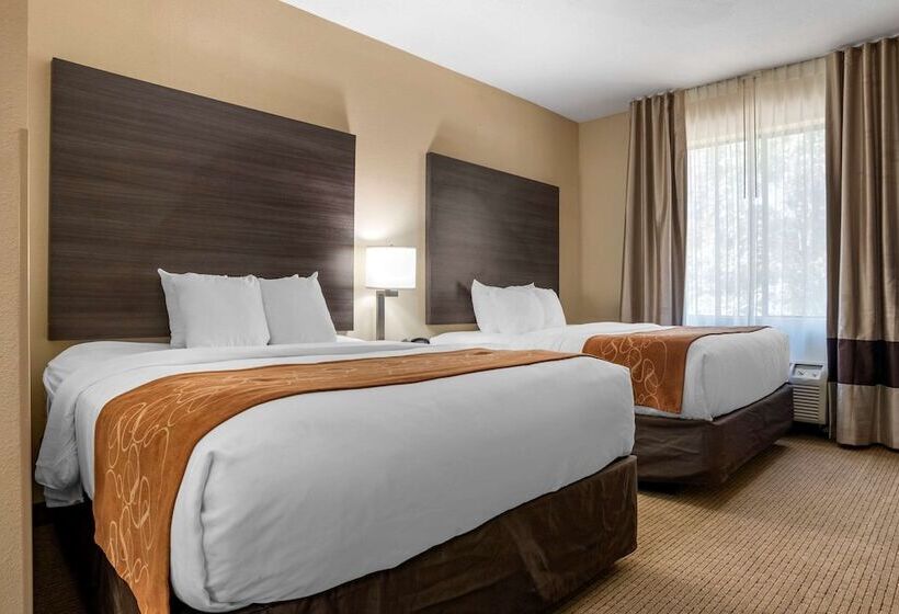 スイート, Comfort Suites Mobile West Tillmans Corner