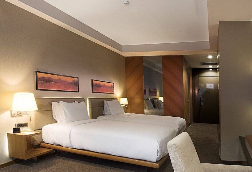 スタンダードルーム, Doubletree By Hilton  Istanbul  Old Town