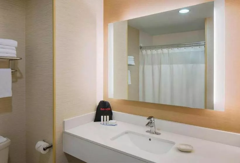 身障者適用キングサイズベッドルーム, Fairfield Inn & Suites By Marriott Bridgewater Branchburg/somerville