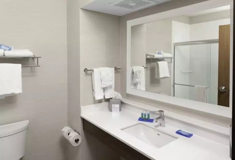 スタンダードルーム, Holiday Inn Express Hotel & Suites Coeur D Alene I 90 Exit 11, An Ihg