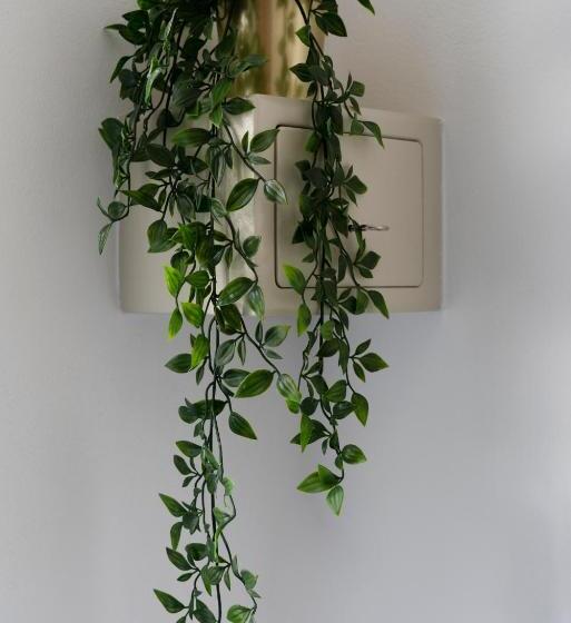 اتاق استاندارد سه نفره, Merulana Star