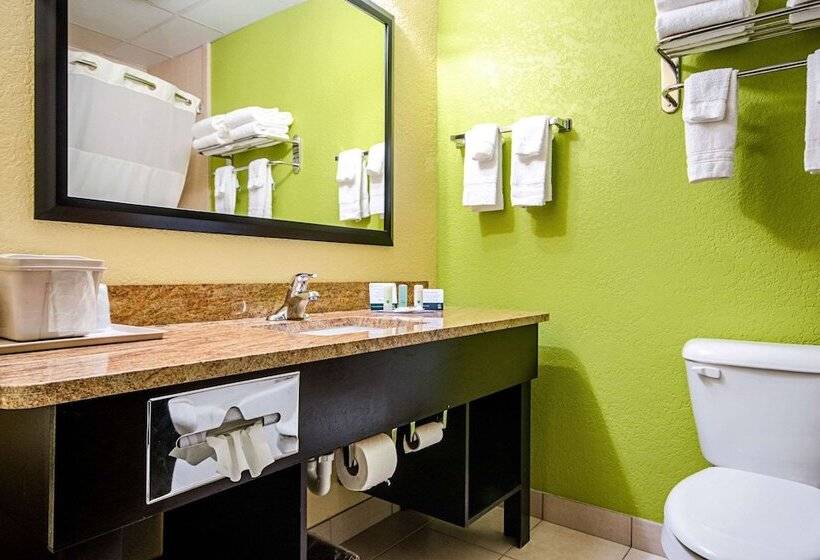 スイート, Quality Inn & Suites Glenmont  Albany South