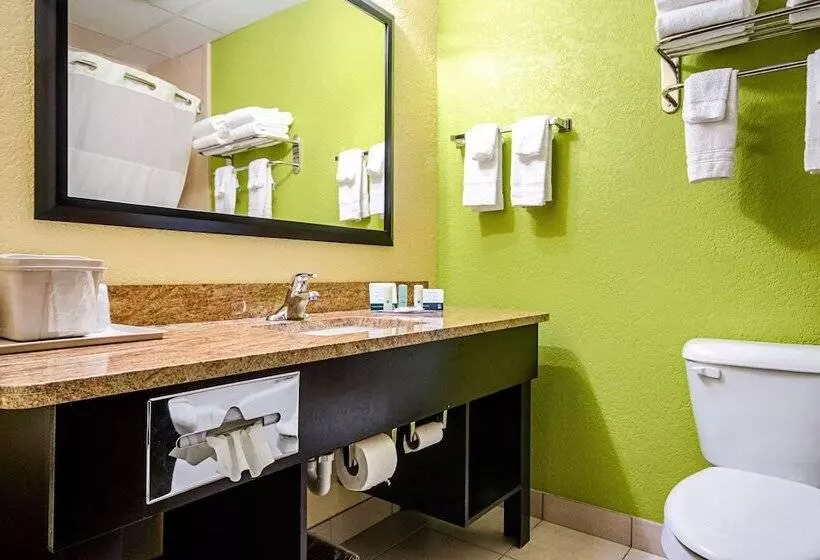 スイート, Quality Inn & Suites Glenmont  Albany South
