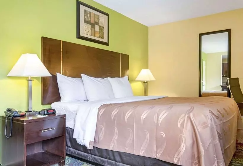 キングサイズベッドのスタンダードルーム, Quality Inn & Suites Glenmont  Albany South