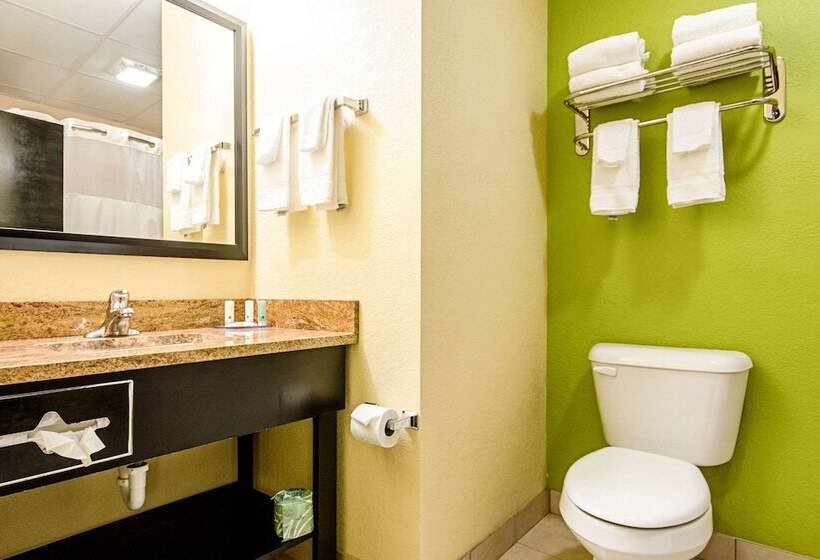 キングサイズベッドのスタンダードルーム, Quality Inn & Suites Glenmont  Albany South