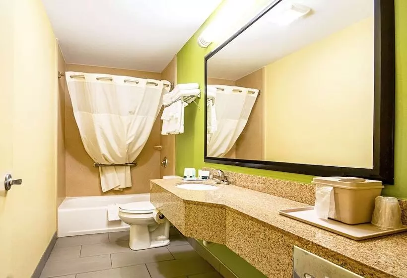 ２ダブルベッドのスタンダードルーム, Quality Inn & Suites Glenmont  Albany South