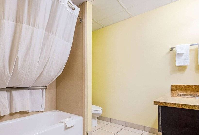 キングサイズベッドのスタンダードルーム, Quality Inn & Suites Glenmont  Albany South