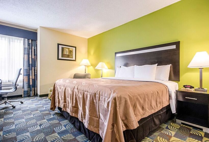 キングサイズベッドのスタンダードルーム, Quality Inn & Suites Glenmont  Albany South