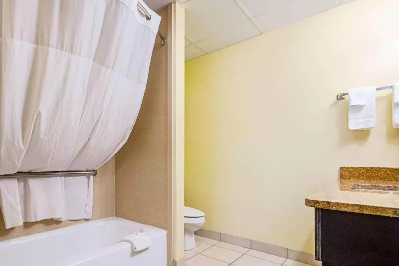 キングサイズベッドのスタンダードルーム, Quality Inn & Suites Glenmont  Albany South