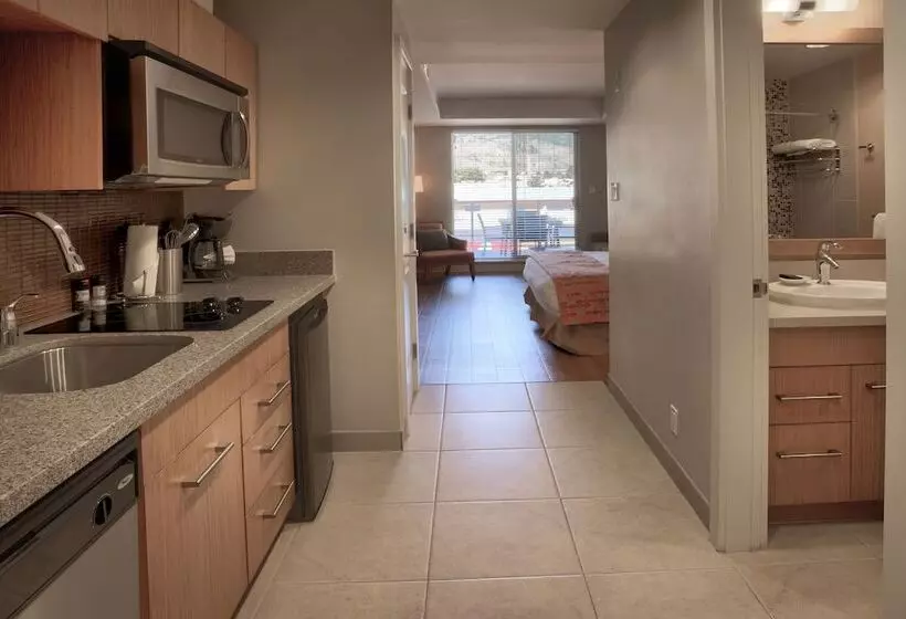 Standard studio with lake view