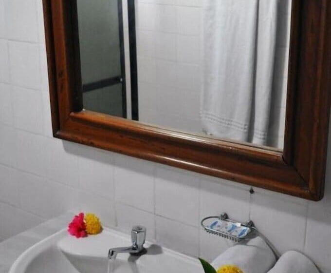 スタンダードルーム, Estrela Dalva Centro