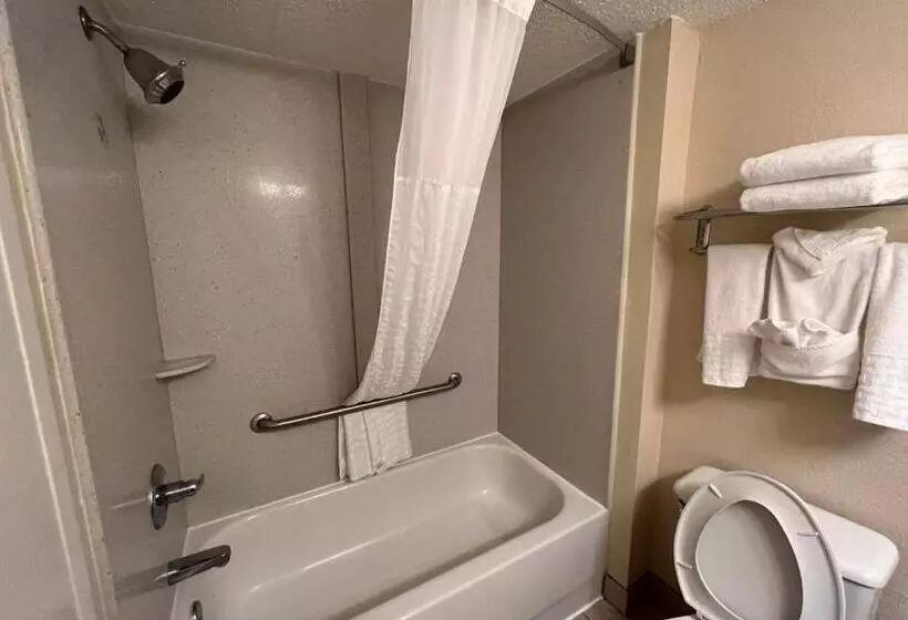 キングサイズベッドのスタンダードルーム, Sky Point Hotel & Suites   Atlanta Airport