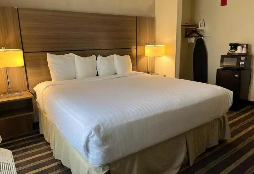 キングサイズベッドのスタンダードルーム, Sky Point Hotel & Suites   Atlanta Airport