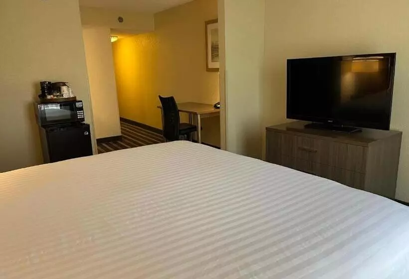 キングサイズベッドのスタンダードルーム, Sky Point Hotel & Suites   Atlanta Airport
