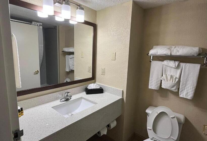 Стандартный Номер Кровать Кинг, Sky Point Hotel & Suites   Atlanta Airport
