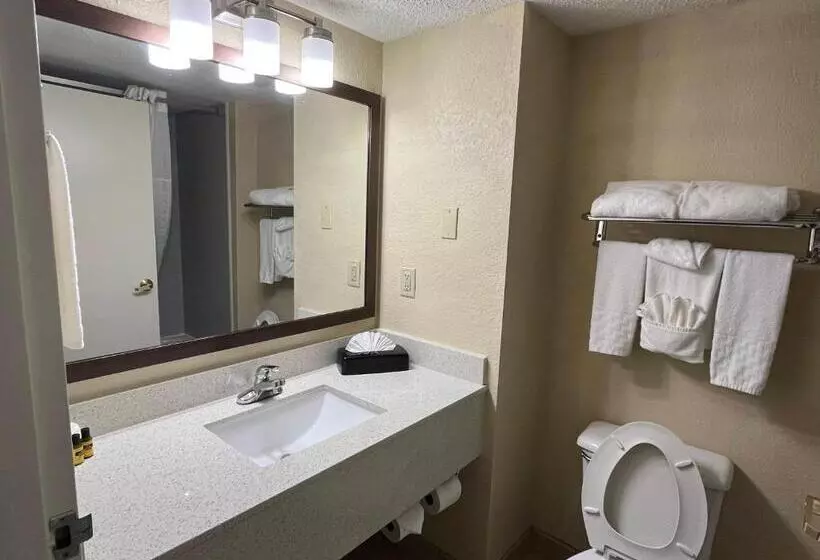 キングサイズベッドのスタンダードルーム, Sky Point Hotel & Suites   Atlanta Airport
