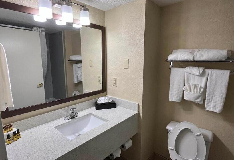 Стандартный Номер Кровать Кинг, Sky Point Hotel & Suites   Atlanta Airport