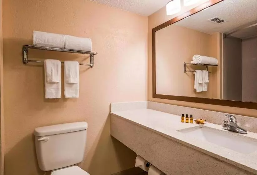 ２ダブルベッドのスタンダードルーム, Sky Point Hotel & Suites   Atlanta Airport
