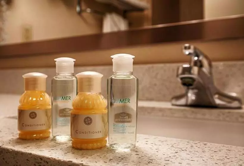 ２ダブルベッドのスタンダードルーム, Sky Point Hotel & Suites   Atlanta Airport