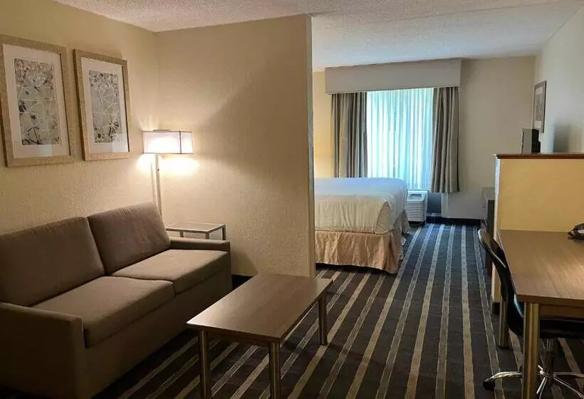 キングサイズベッドのスイートルーム, Sky Point Hotel & Suites   Atlanta Airport