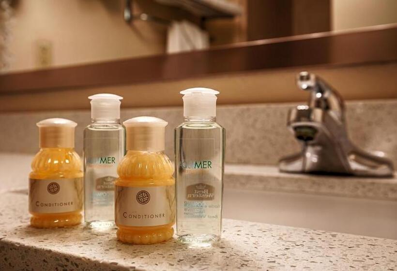 Люкс Адаптированный для Инвалидов, Sky Point Hotel & Suites   Atlanta Airport