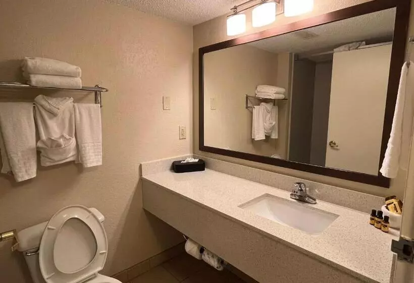 エクゼクティブスイート, Sky Point Hotel & Suites   Atlanta Airport