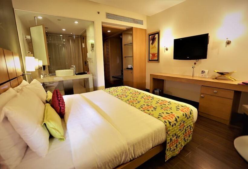 豪华房间, The Beatle