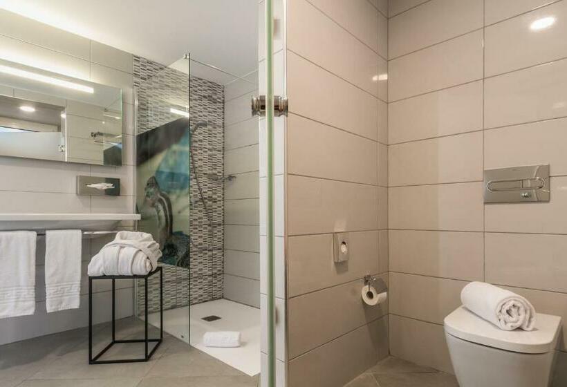 スタンダードルーム, Aparthotel Esquinzo y Monte del Mar