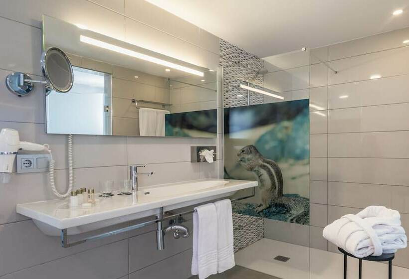 片側に海が見えるデラックスルーム, Aparthotel Esquinzo y Monte del Mar