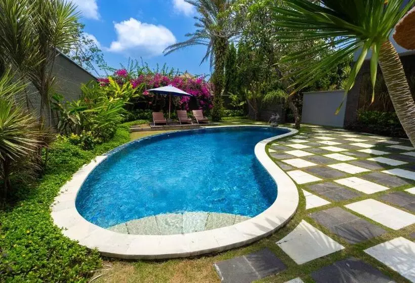 اتاق لوکس, Abi Bali Resort And Villa