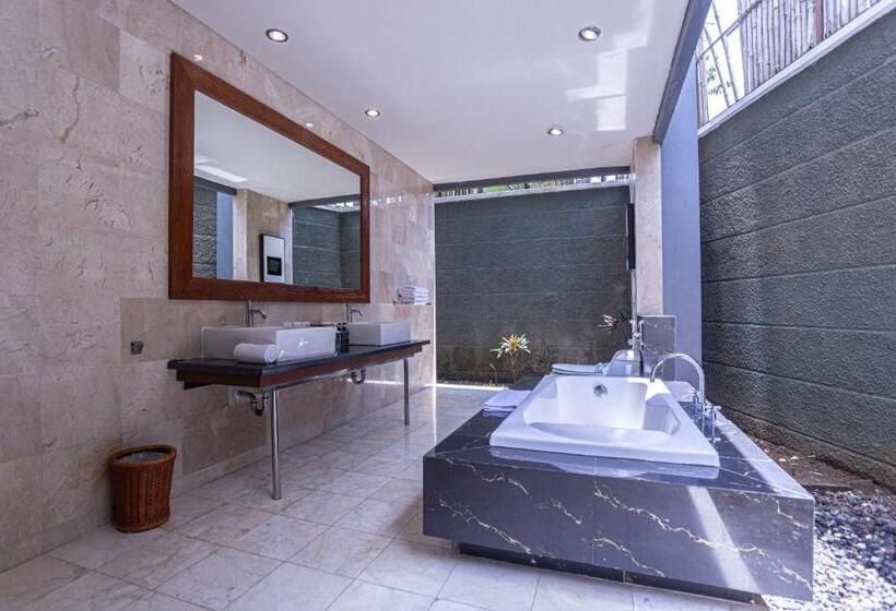 חדר דלוקס, Abi Bali Resort And Villa