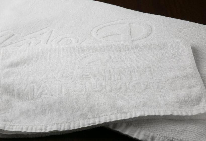 اتاق عادی با تخت دوبل, Ace Inn Matsumoto