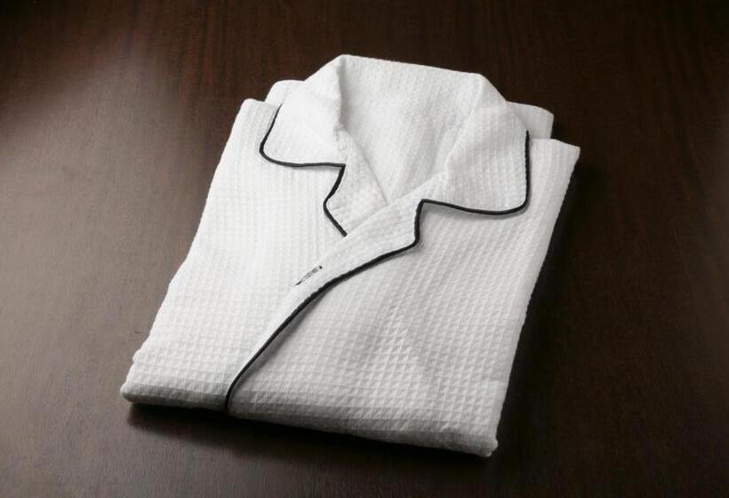 اتاق عادی با تخت دوبل, Ace Inn Matsumoto