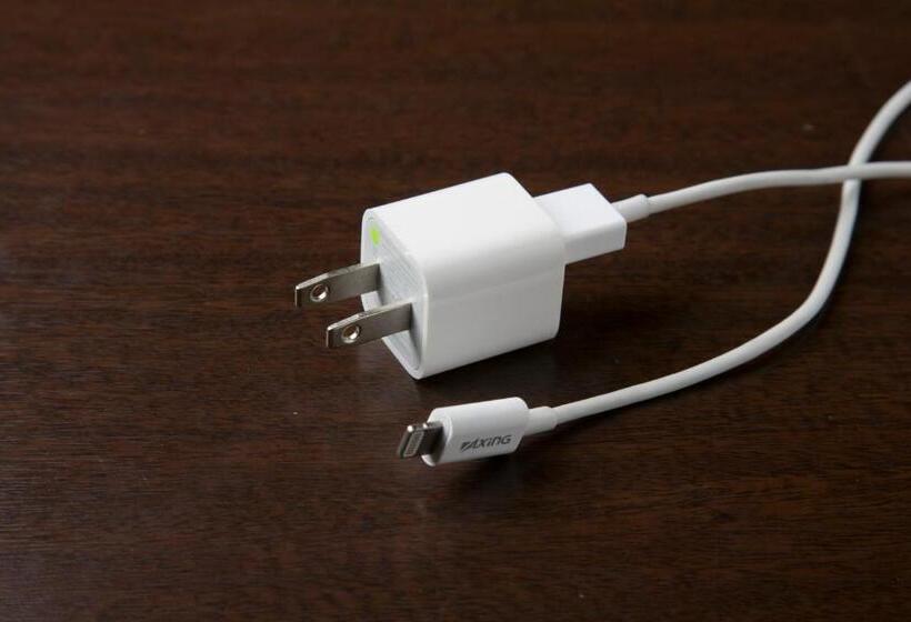 اتاق استاندارد, Ace Inn Matsumoto