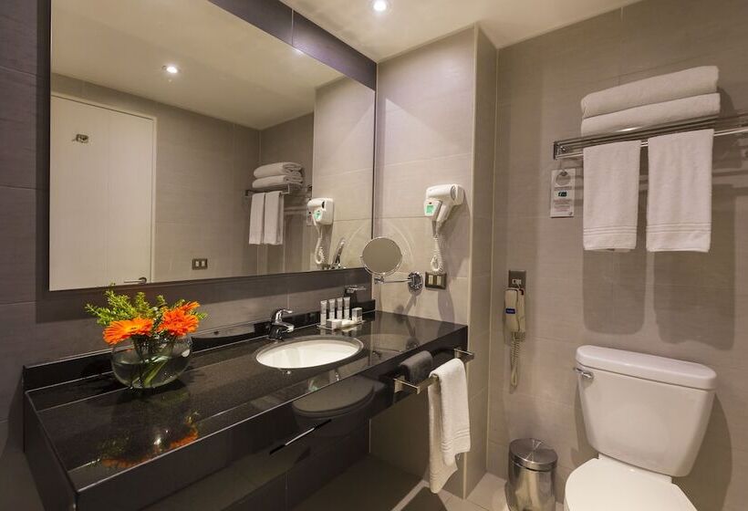 اتاق استاندارد با تخت دوبل, Best Western Premier Marina Las Condes