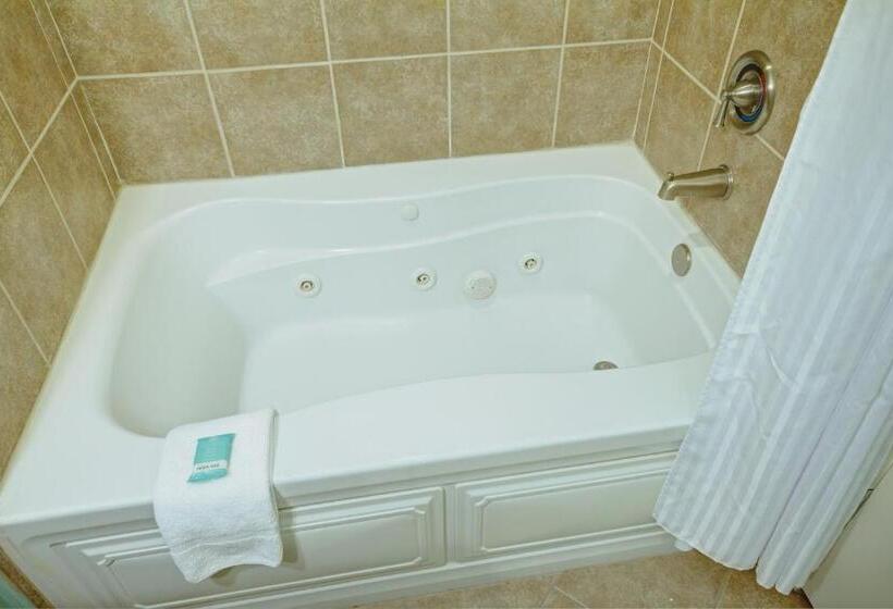 ２ベッドルームアパートメント, Club Wyndham Towers On The Grove