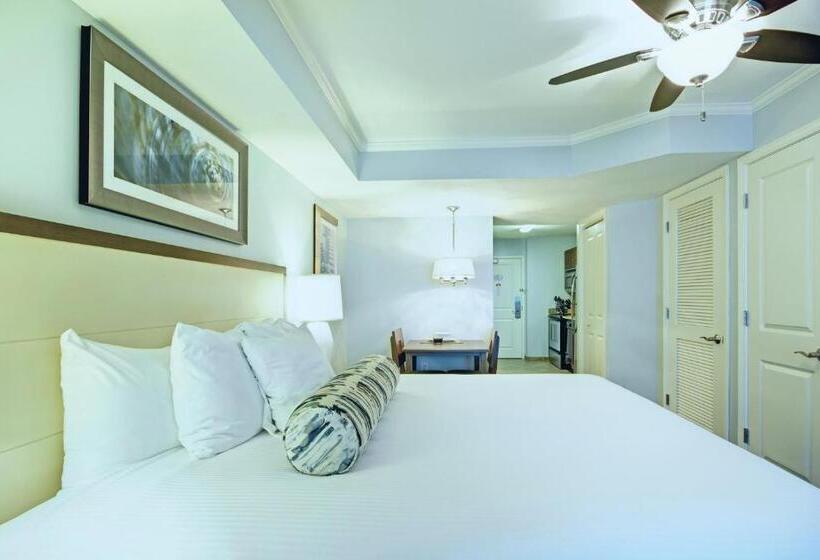 ２ベッドルームアパートメント, Club Wyndham Towers On The Grove