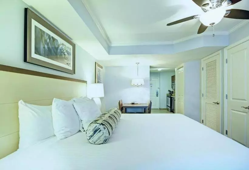 ２ベッドルームアパートメント, Club Wyndham Towers On The Grove