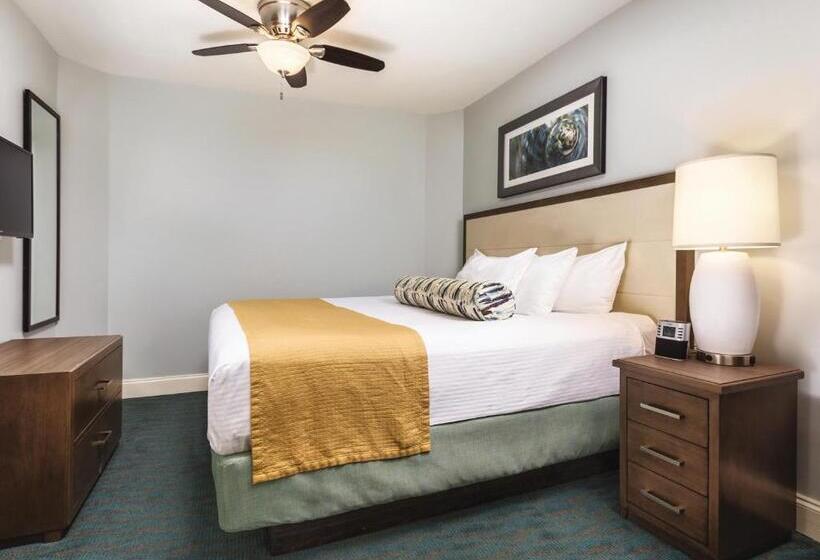 ２ベッドルームアパートメント, Club Wyndham Towers On The Grove