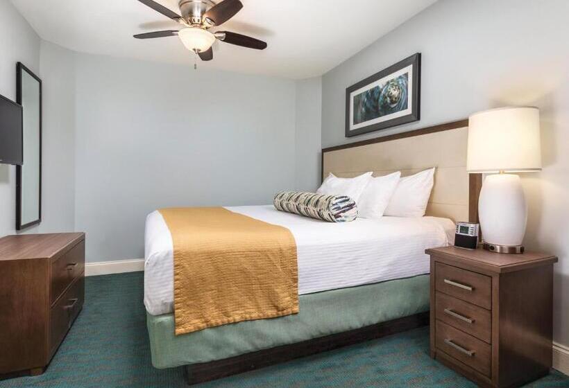 ２ベッドルームアパートメント, Club Wyndham Towers On The Grove