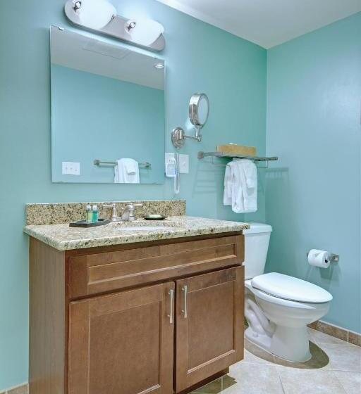 ２ベッドルームアパートメント, Club Wyndham Towers On The Grove