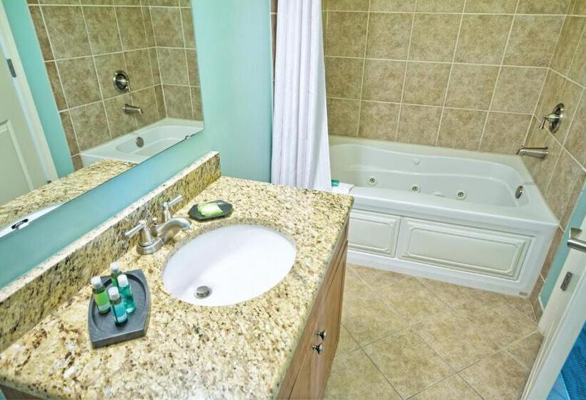 ２ベッドルームアパートメント, Club Wyndham Towers On The Grove