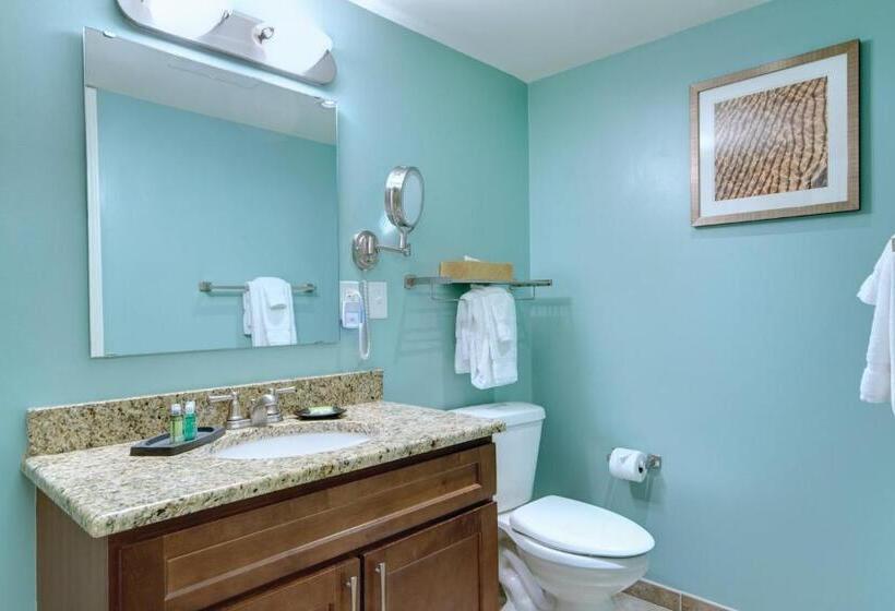 １ベッドルームアパートメント, Club Wyndham Towers On The Grove