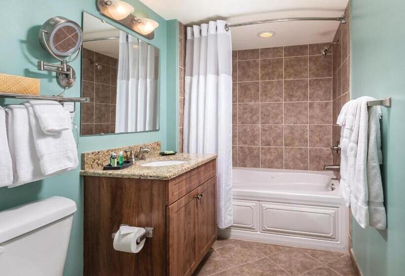 スタンダードスタジオ, Club Wyndham Towers On The Grove