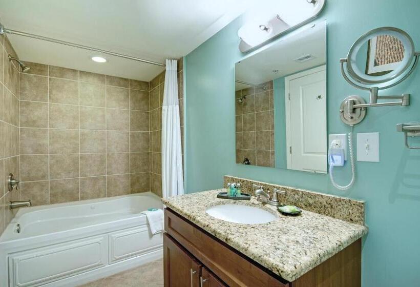 ２ベッドルームアパートメント, Club Wyndham Towers On The Grove