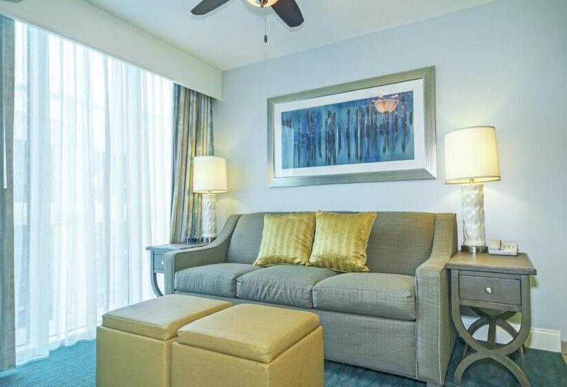 １ベッドルームアパートメント, Club Wyndham Towers On The Grove