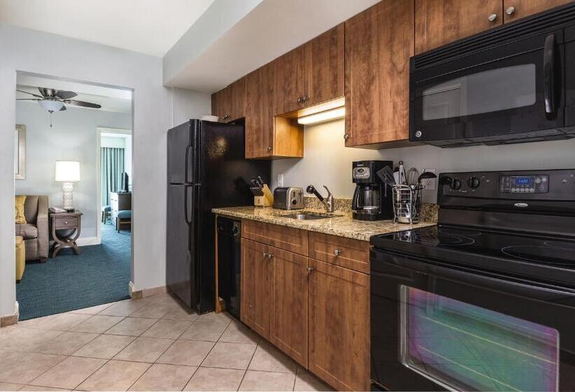 １ベッドルームアパートメント, Club Wyndham Towers On The Grove