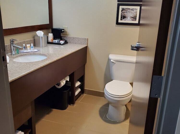 Люкс, Comfort Suites Little Rock West