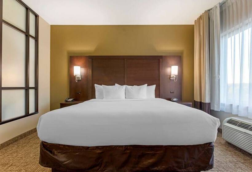 Люкс, Comfort Suites Little Rock West