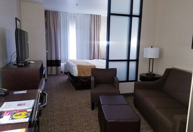 Люкс, Comfort Suites Little Rock West